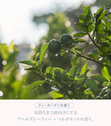 KURURITO スムースコントロールオイル 使用イメージ6
