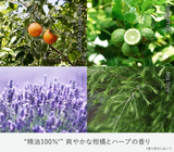 【5/17~31限定セット】KINUJO Pro Straight Iron×KURURI ナイトケア クリーム